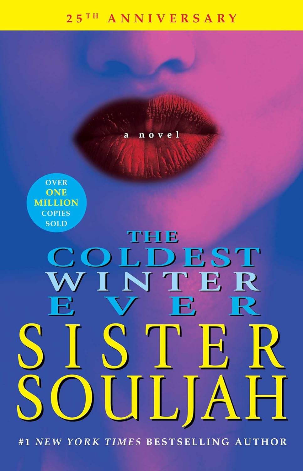 The Coldest Winter Ever: A Novel (1) (The Winter Santiaga Series)