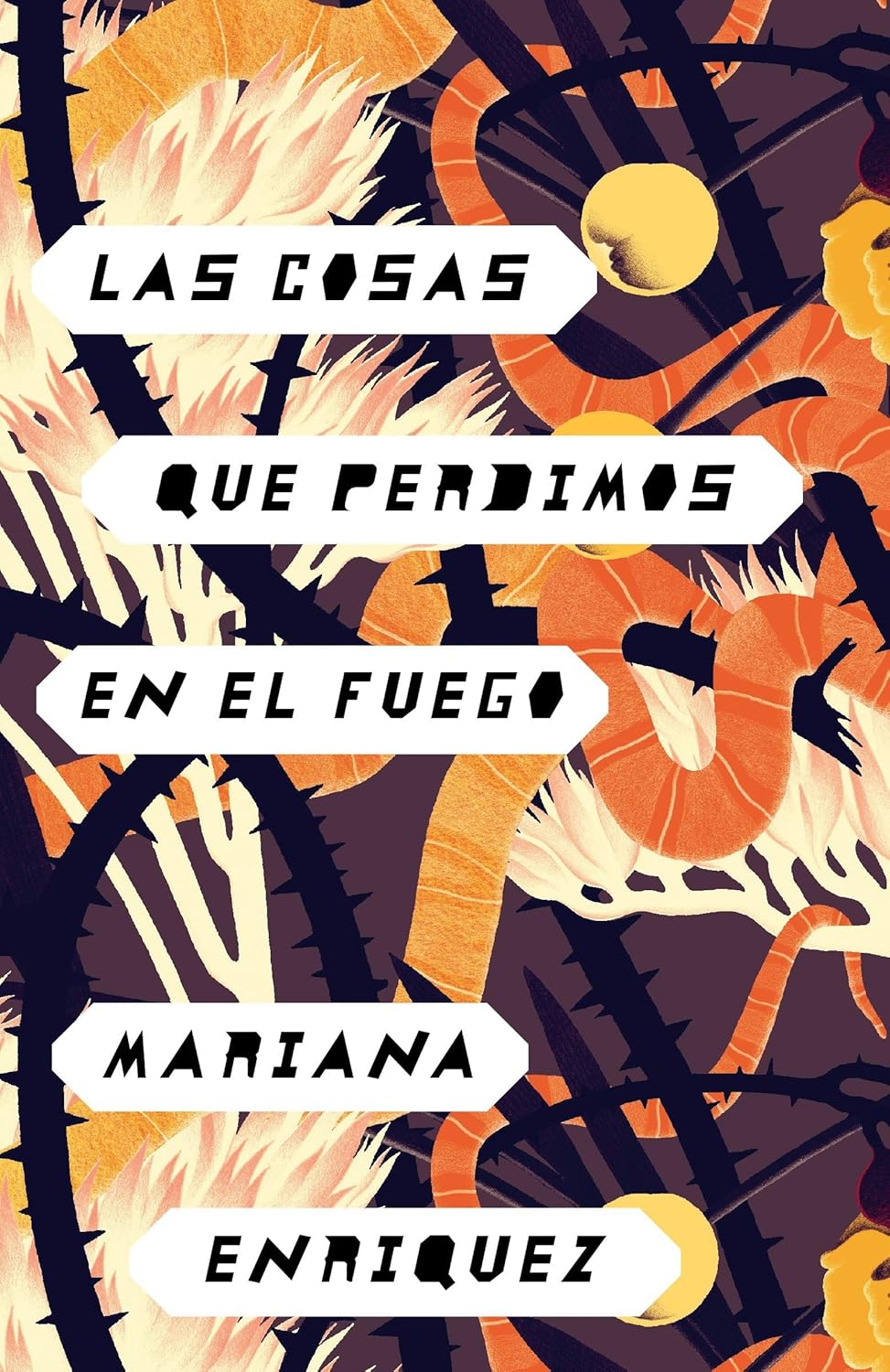 Las cosas que perdimos en el fuego / Things We Lost in the Fire: Things We Lost in the Fire - Spanish-language Edition (Spanish Edition)
