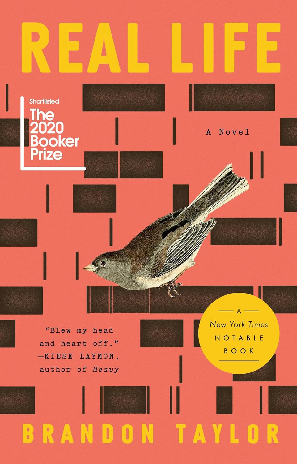 Real Life: A Novel