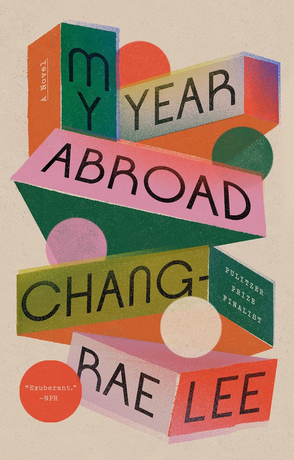 My Year Abroad: A Novel
