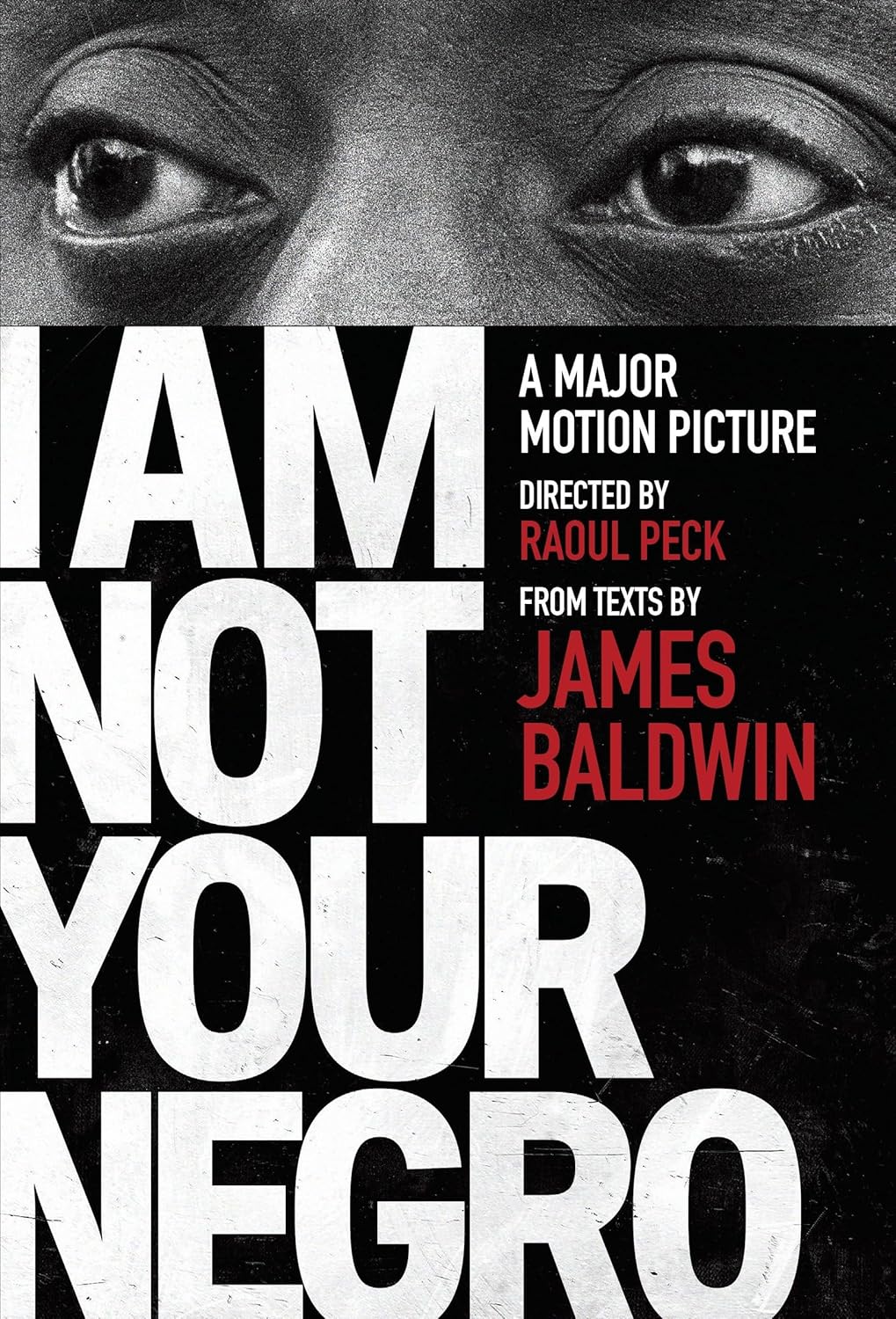 I Am Not Your Negro (Vintage International)