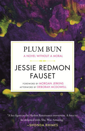 Plum Bun: A Novel without a Moral (Celebrating Black Women Writers)